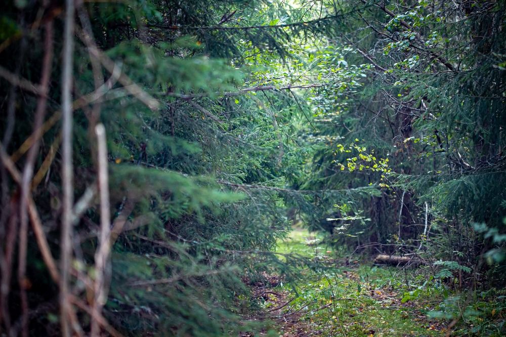 Photograph by Очева Наталья Александровна