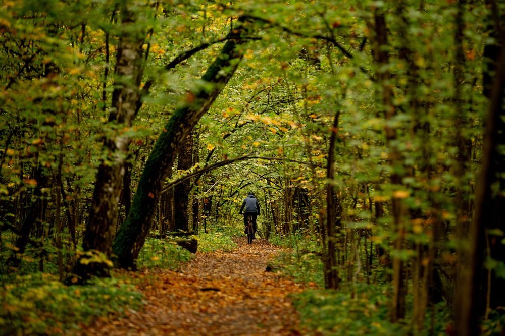 Photograph by Михаил Кирьянов