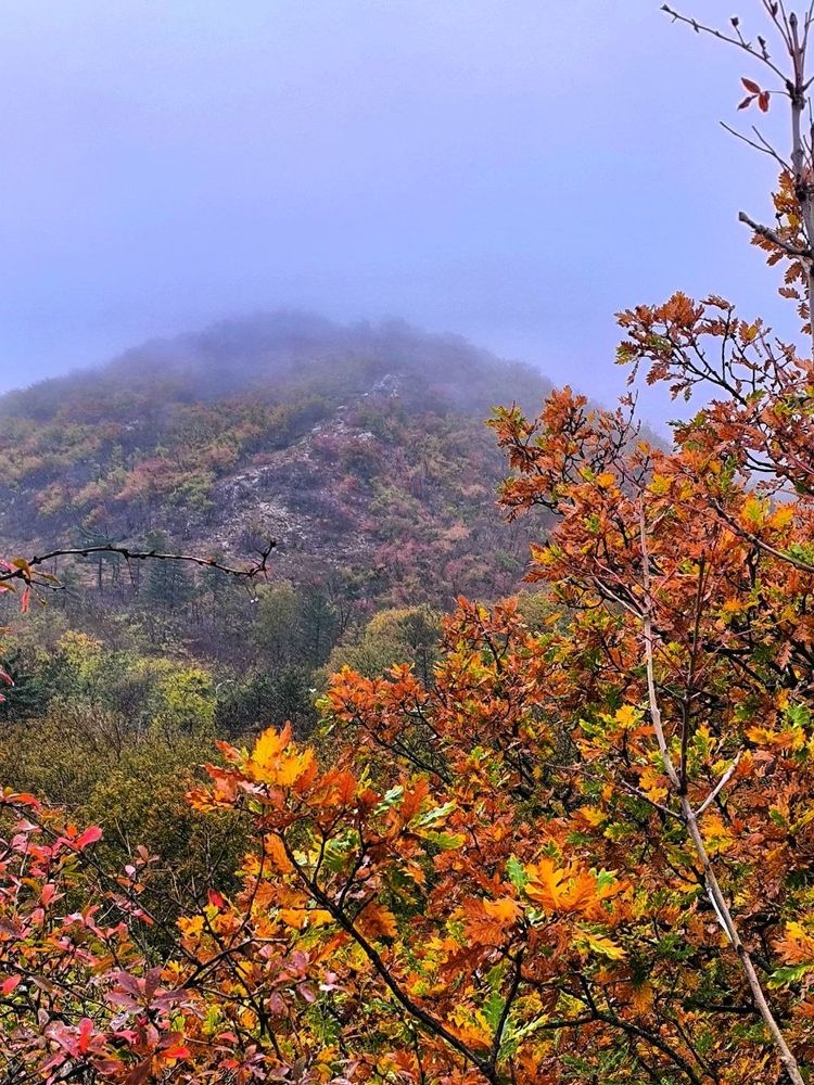 Photograph by Андрей Прокопенко