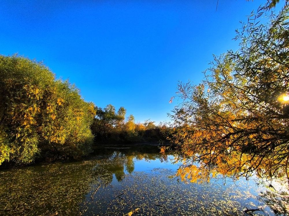 Photograph by Андрей Прокопенко