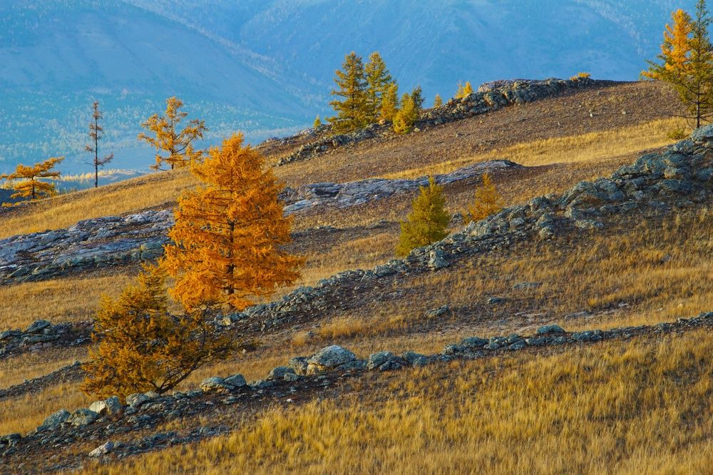 Photograph by Анастасия Скворцова