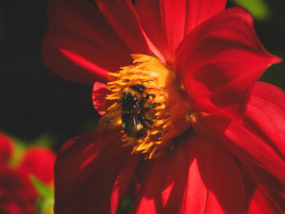 Photograph by Виктория