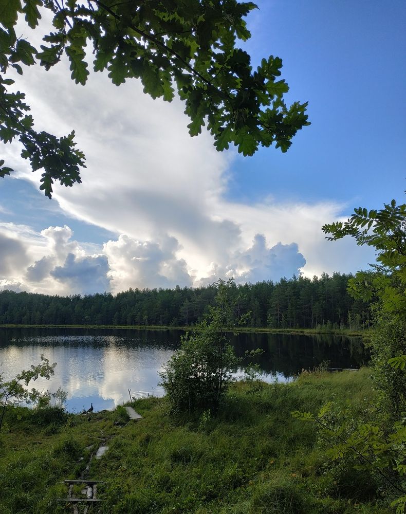 Photograph by Светлана Белозерова