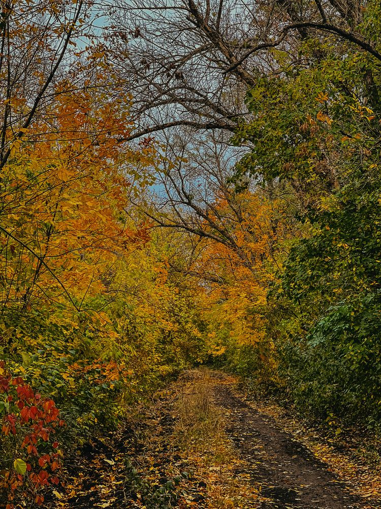 Photograph by Мария Бурик