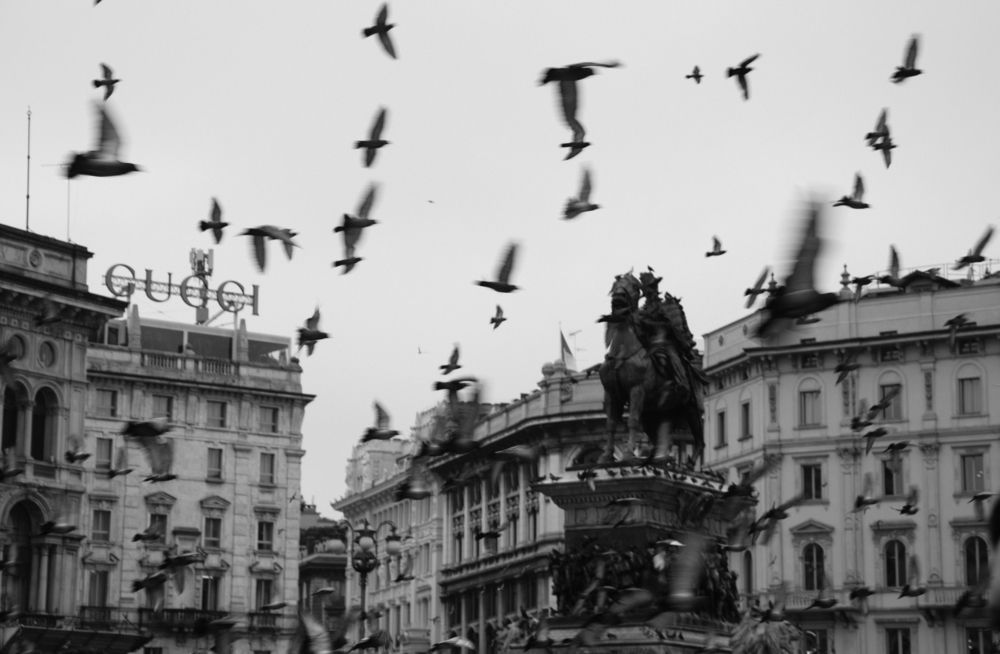 Photograph by Nora Cheprasova