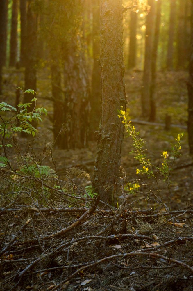 Фотография автора Гаврилова Мария