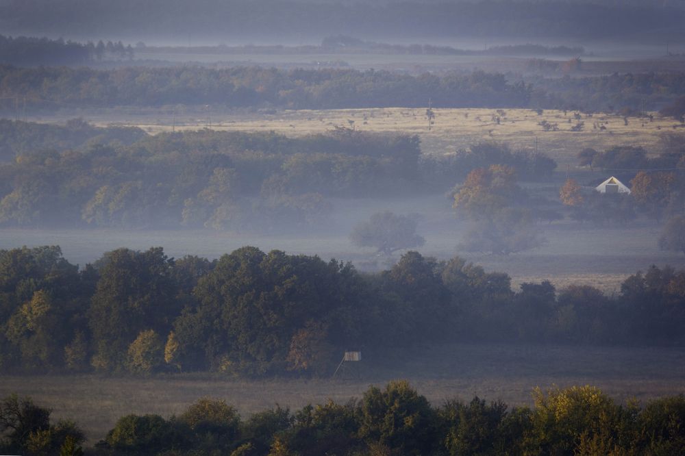 Фотография автора Krisztina Kaposvari