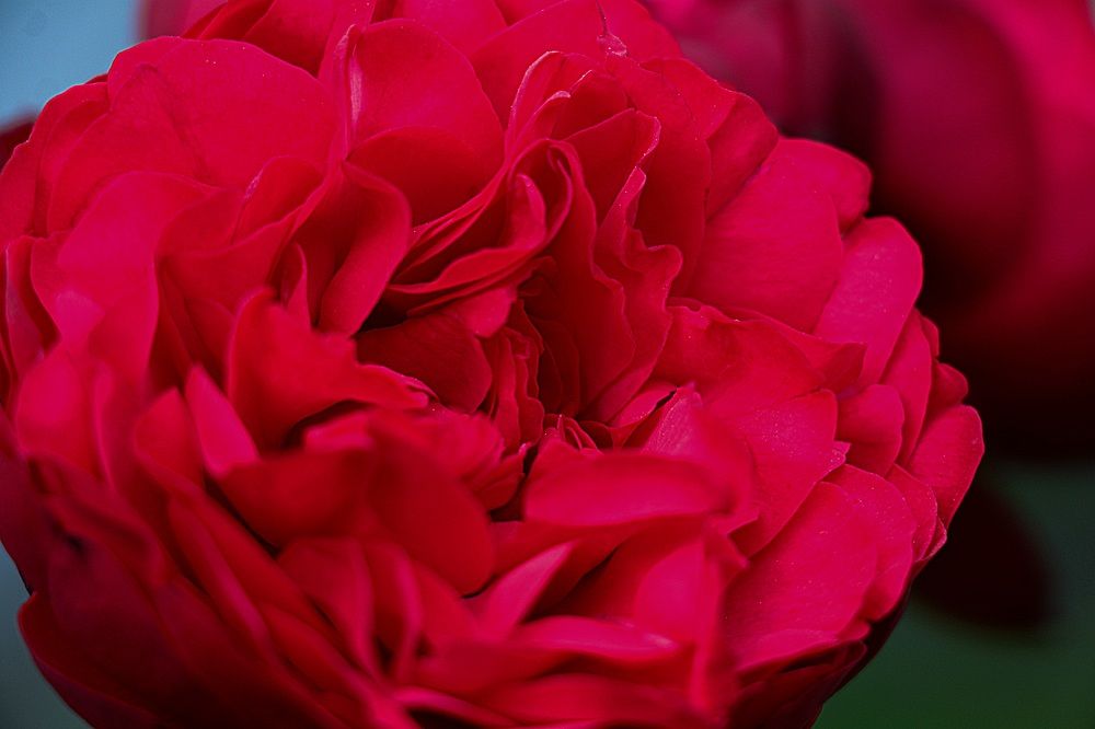 Photograph by Мария Пояскова