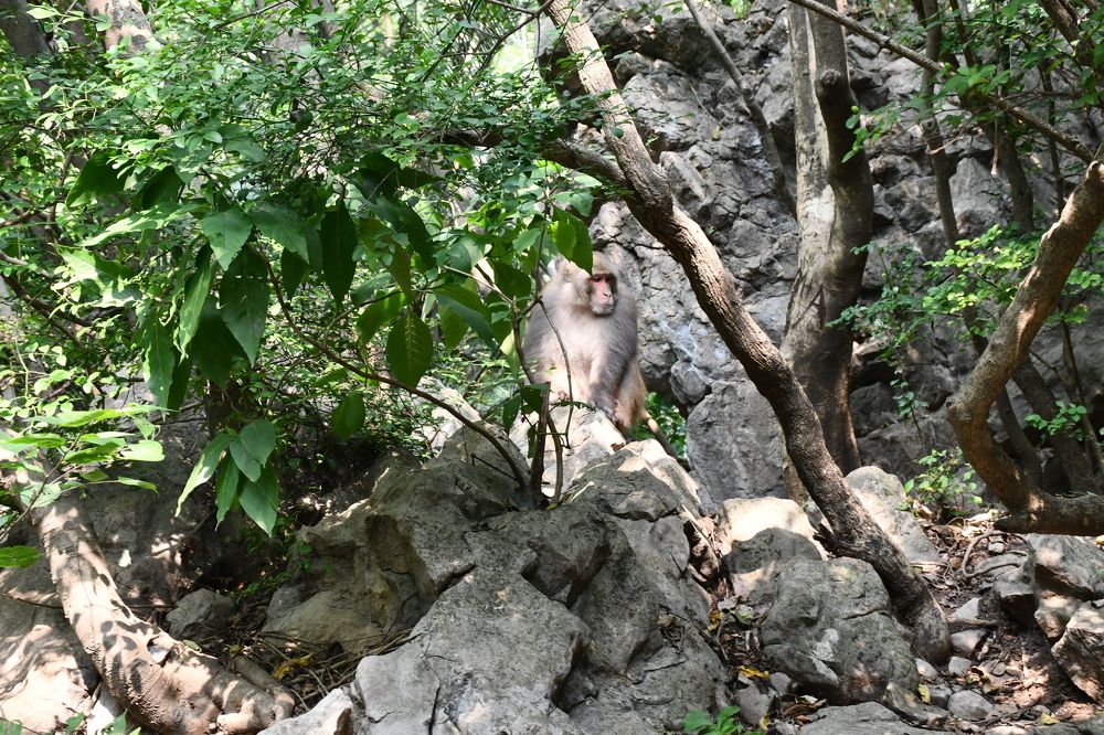 Photograph by Ali Sharaf