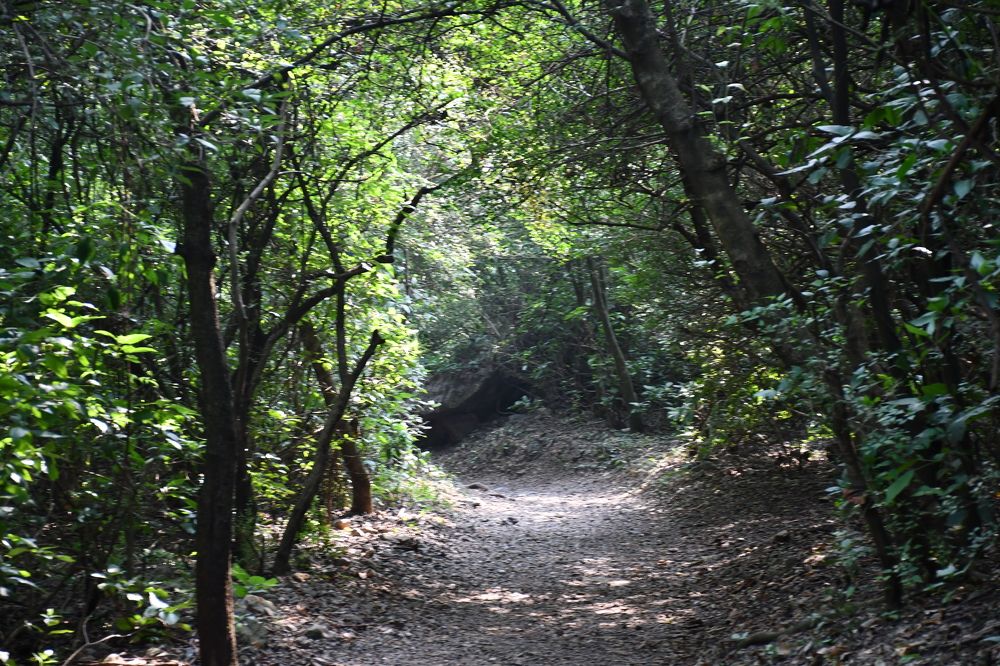 Photograph by Ali Sharaf