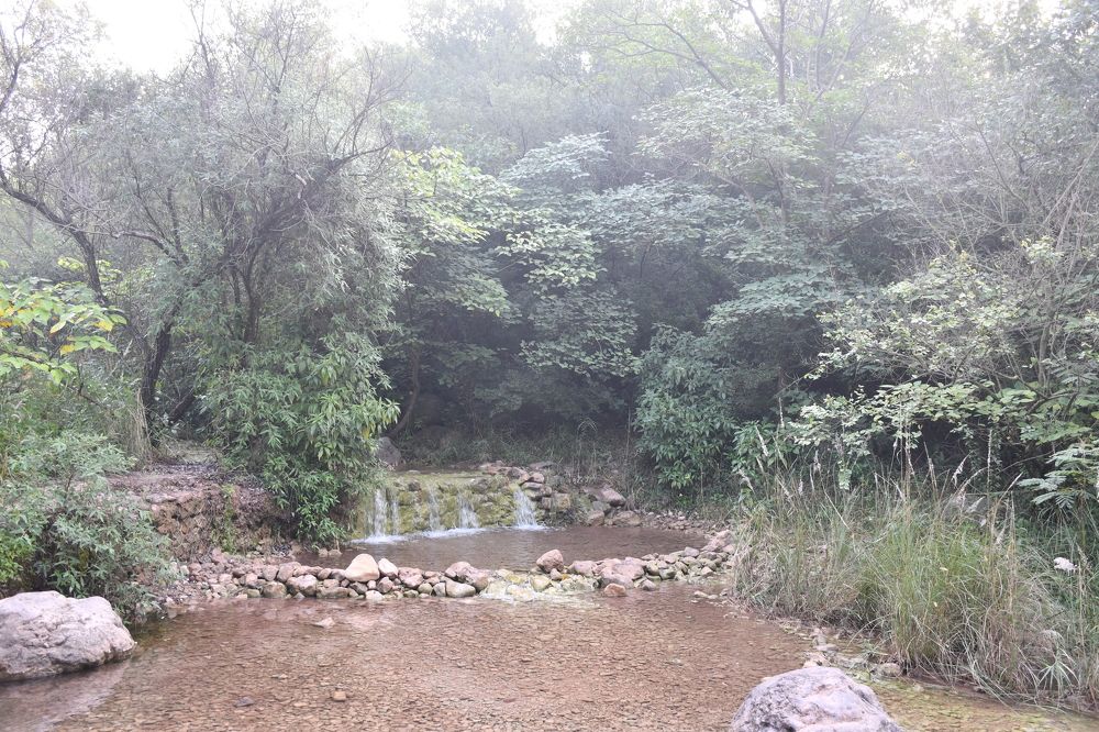 Photograph by Ali Sharaf