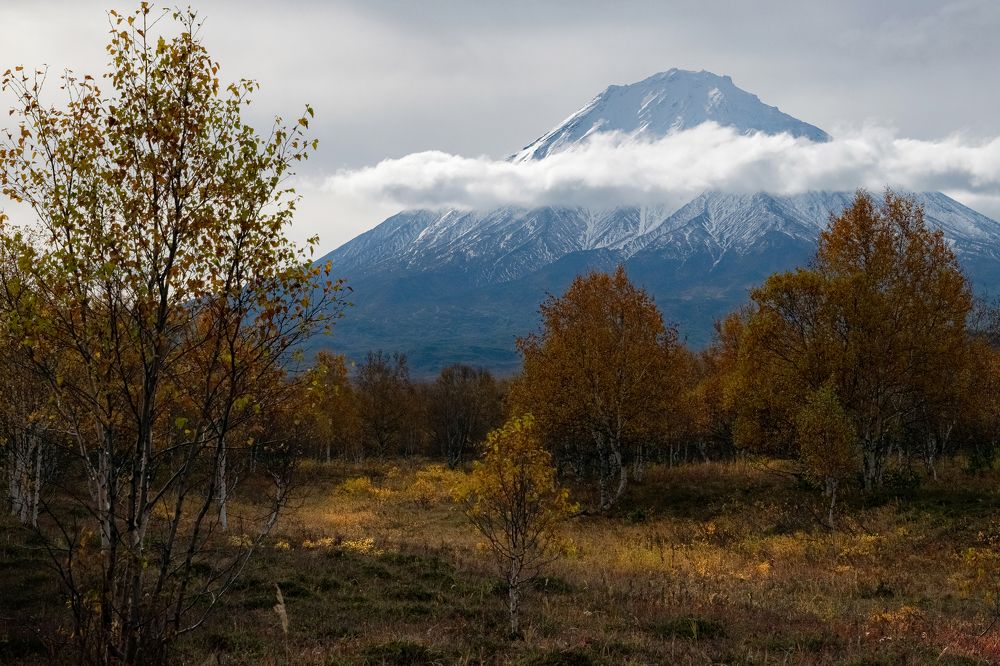 Photograph by Юлия Хобта