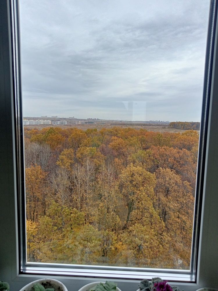 Photograph by Ольга Сергеева