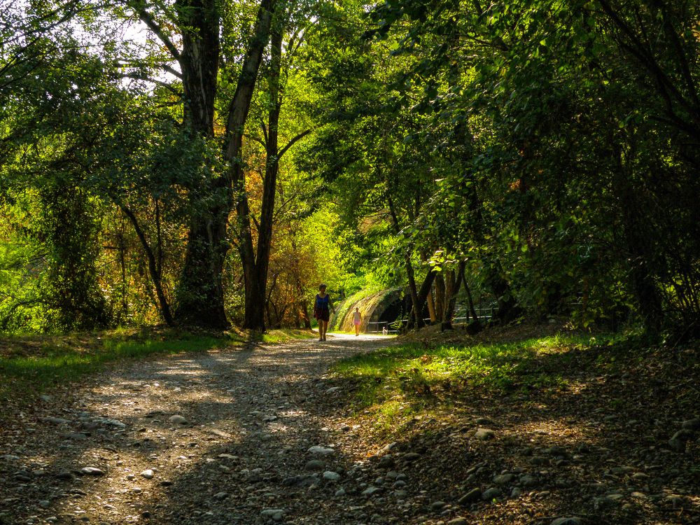 Фотография автора Angelo Dolci