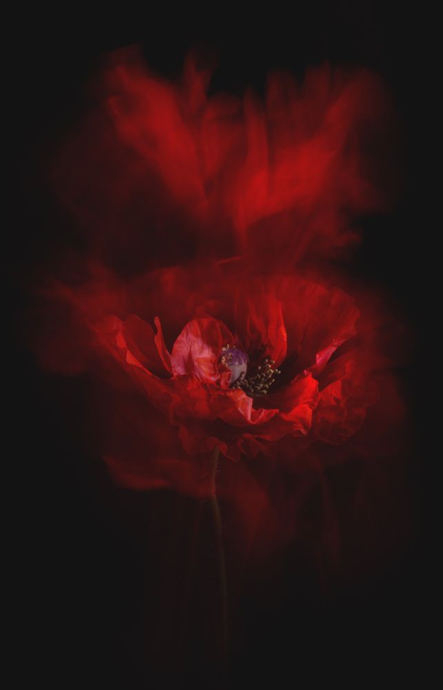 Photograph by Кристина Сотникова