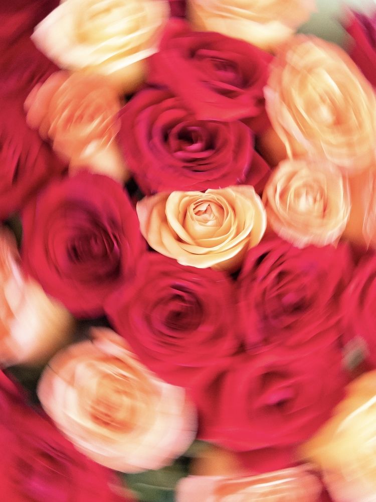 Photograph by Александра Зайниева