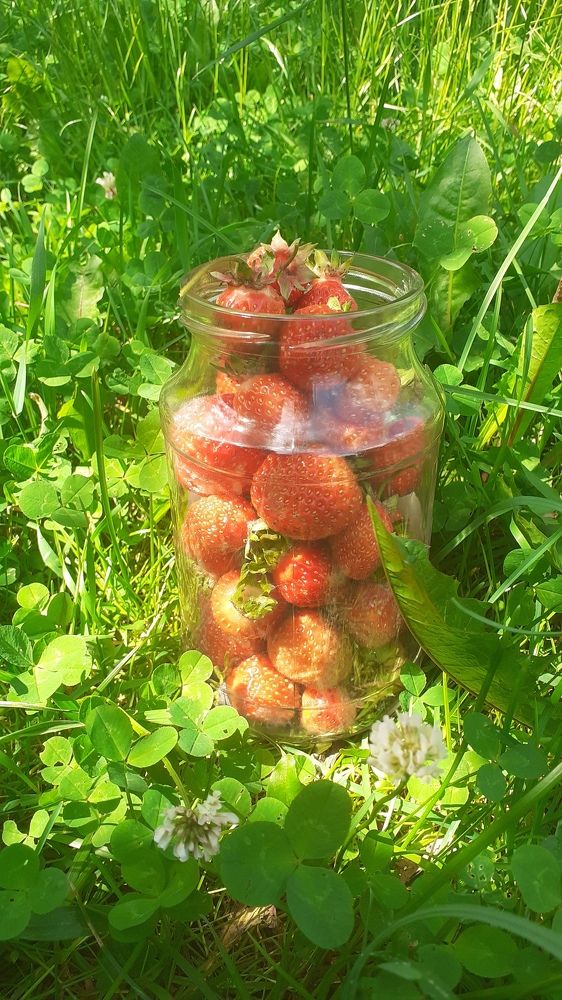 Photograph by Елена Лещева