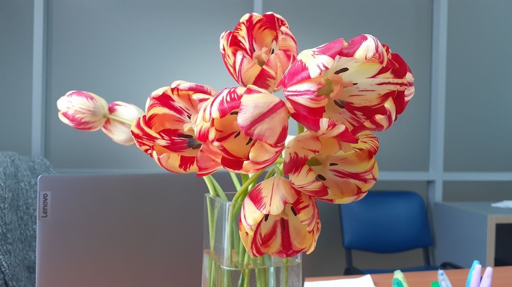 Photograph by Елена Лещева