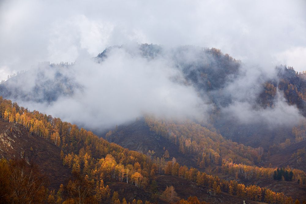 Photograph by Андрей Кочкин