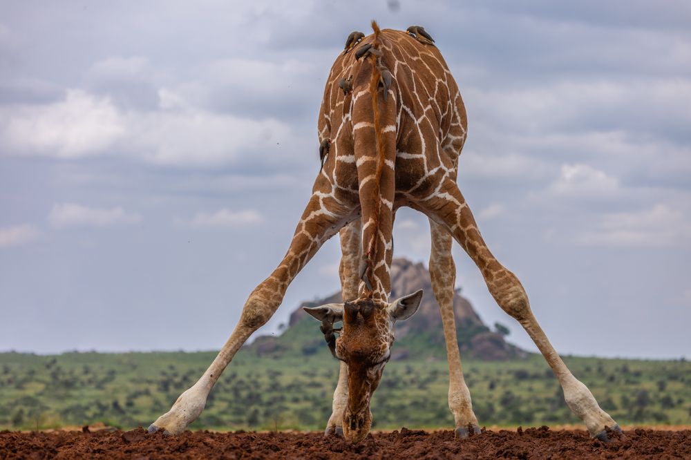 Photograph by Ольга Шайдулина