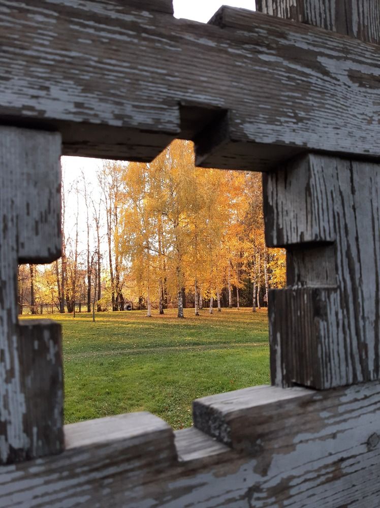 Window to autumn