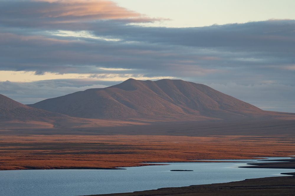 Photograph by Андрей Гусаров