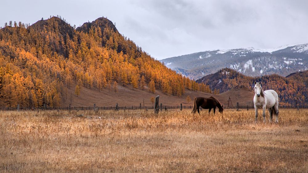 Photograph by Андрей Кочкин
