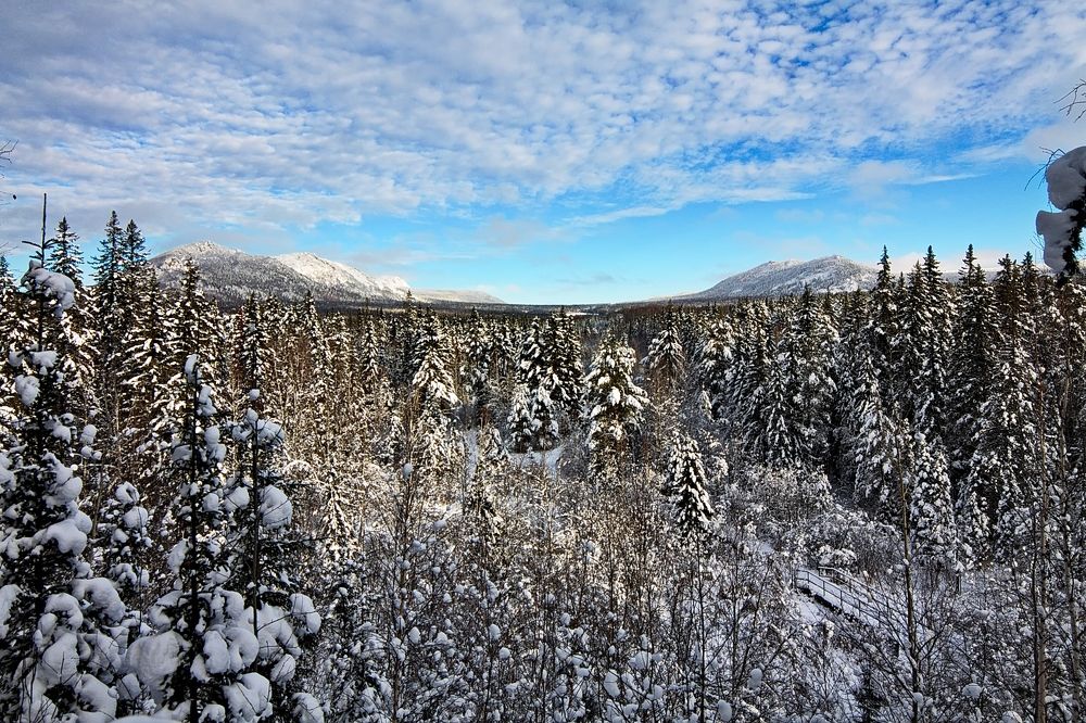 Photograph by ANTON KLYUSHIN