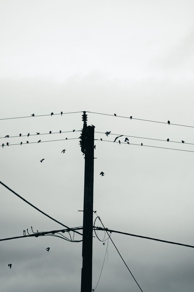 Photograph by Amir Negaresh