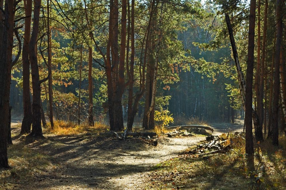 Photograph by ANTON KLYUSHIN