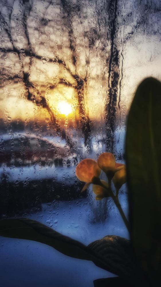 Photograph by Митюшкова Алёна