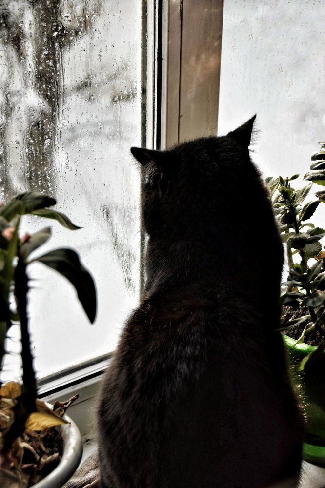 Photograph by Митюшкова Алёна