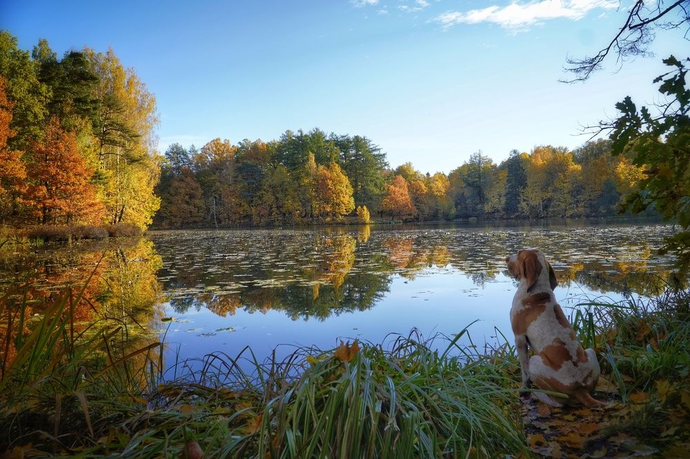 Photograph by Марина Безенкина