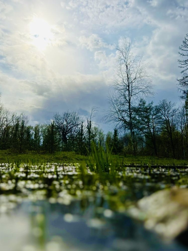 Photograph by Екатерина Балабасева