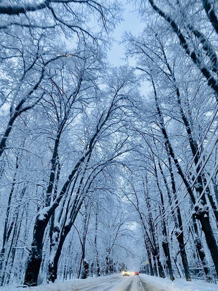 Photograph by Екатерина Балабасева