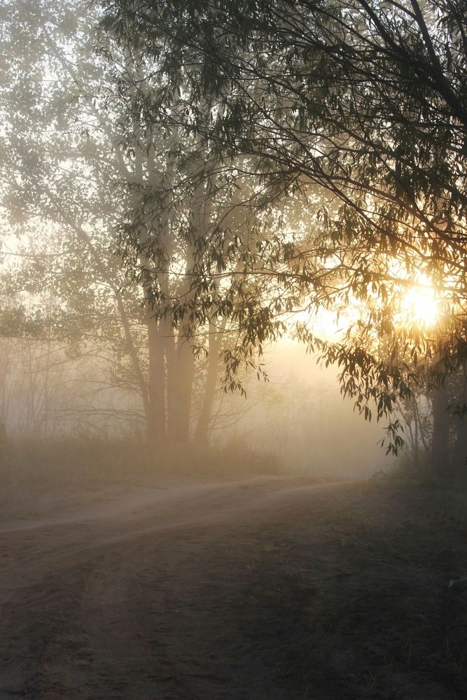Фотография автора Тамара Караваева