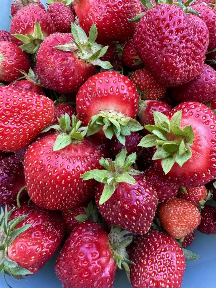 Photograph by Елена Смирнова