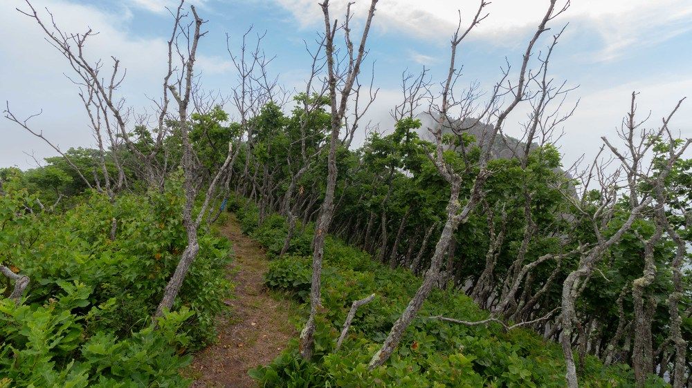 Фотография автора Александр Довганюк