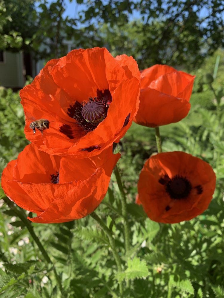 Photograph by Елена Смирнова