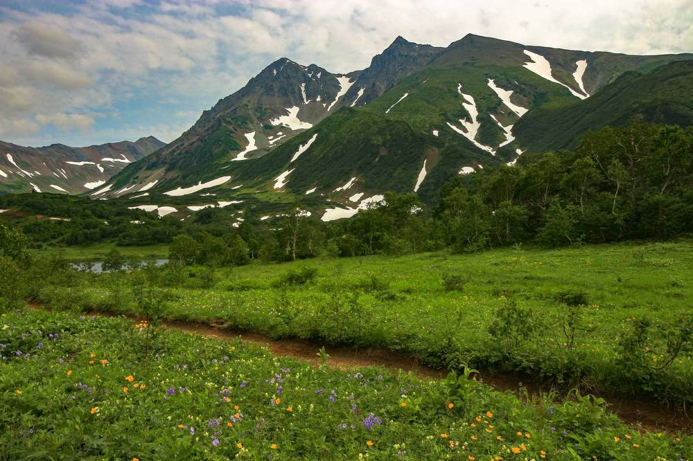 Фотография автора Александр Довганюк