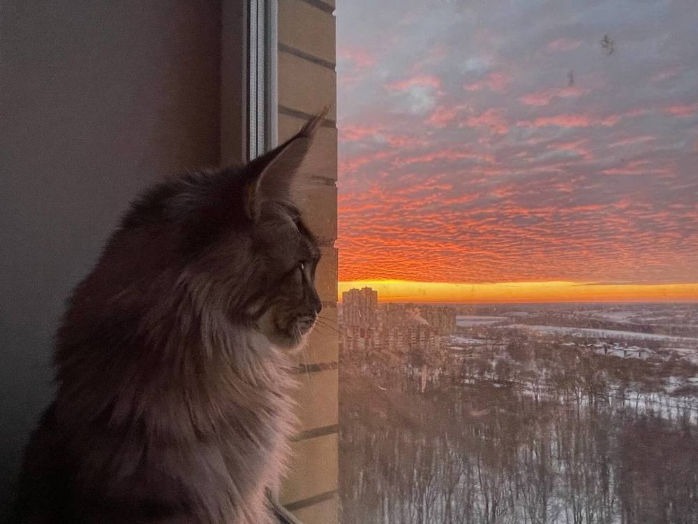 Photograph by Александр Михайлович