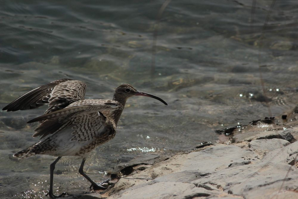 Photograph by Екатерина Александровна