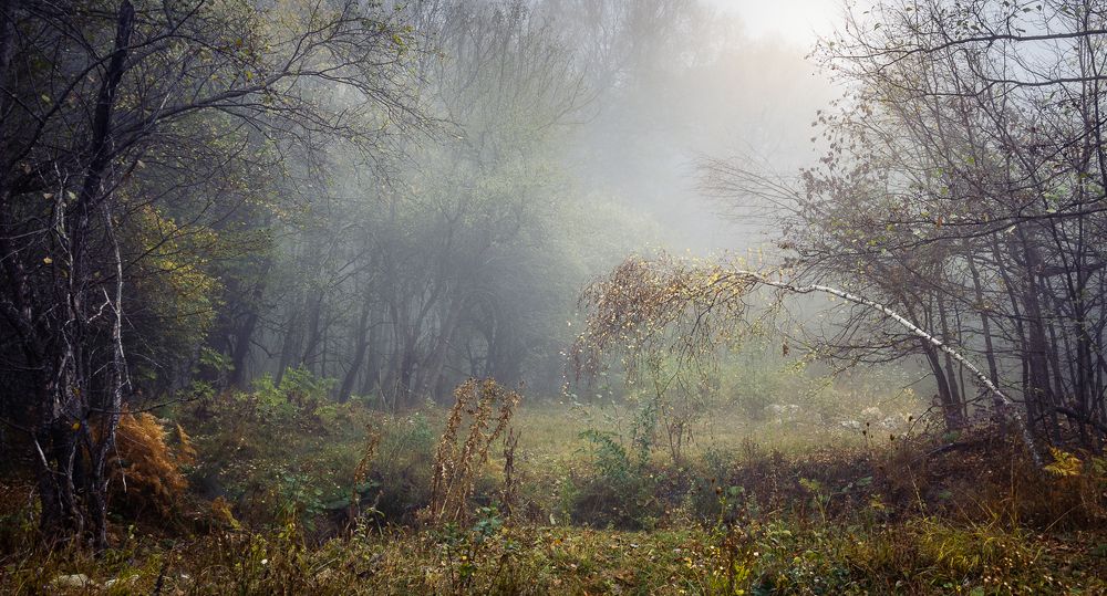 Photograph by Alexander Tsukanov
