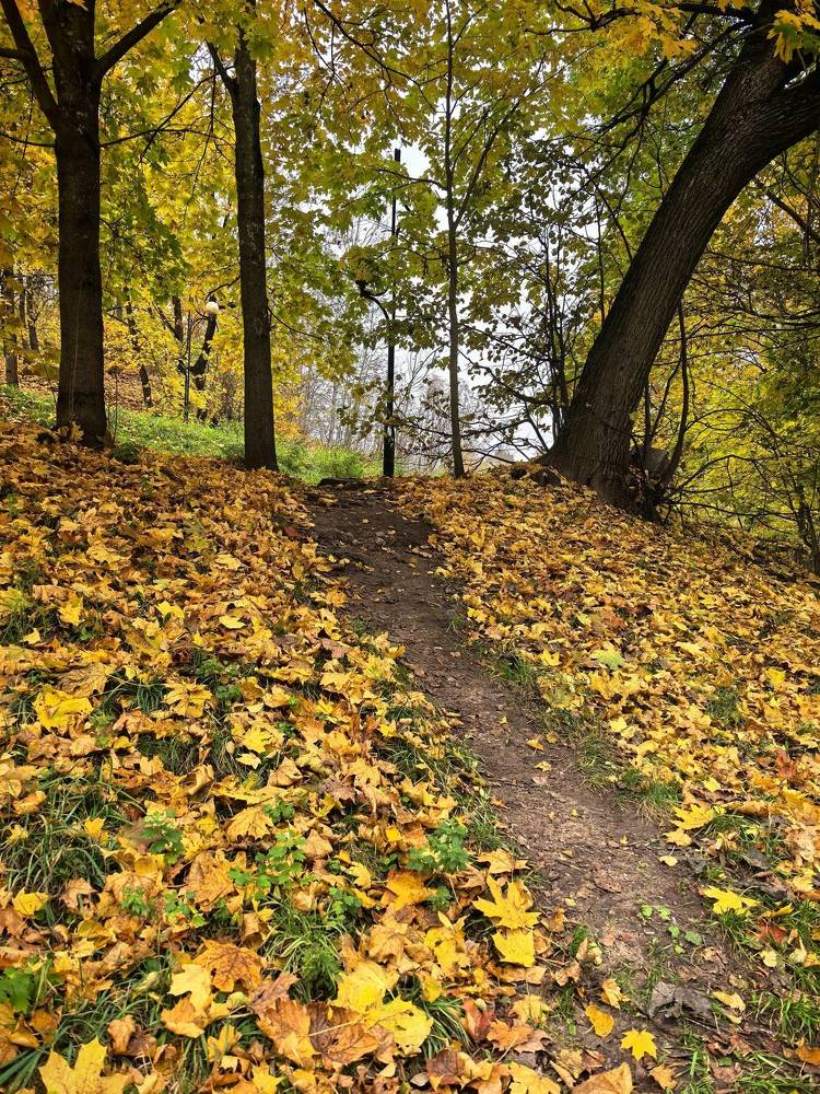 Фотография автора Александр Сипаров