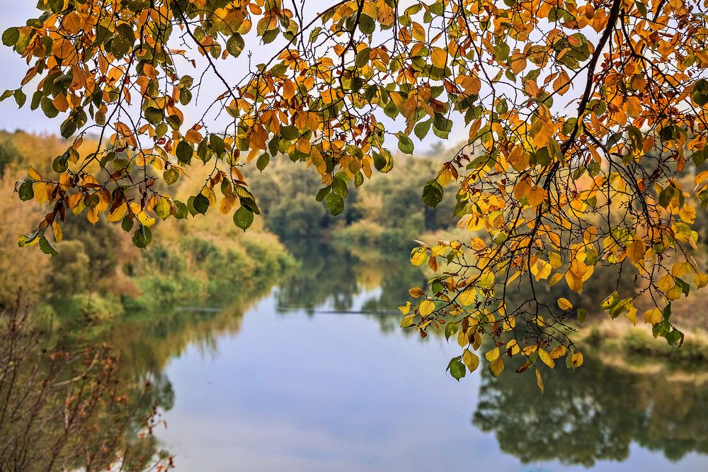 Photograph by Елена Кухарева