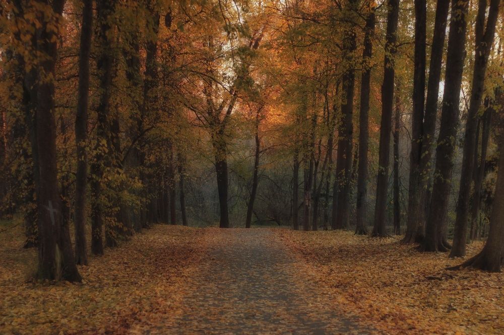 Photograph by Евгений Белов