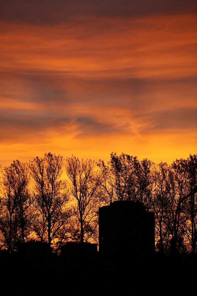 Photograph by Aleksandr Belov