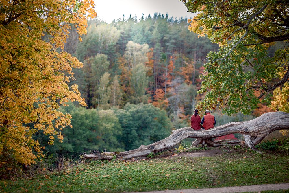 Photograph by Vaidas Bern.