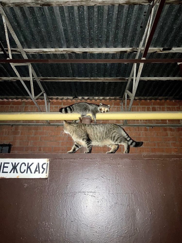 Photograph by Анастасия Лидяева