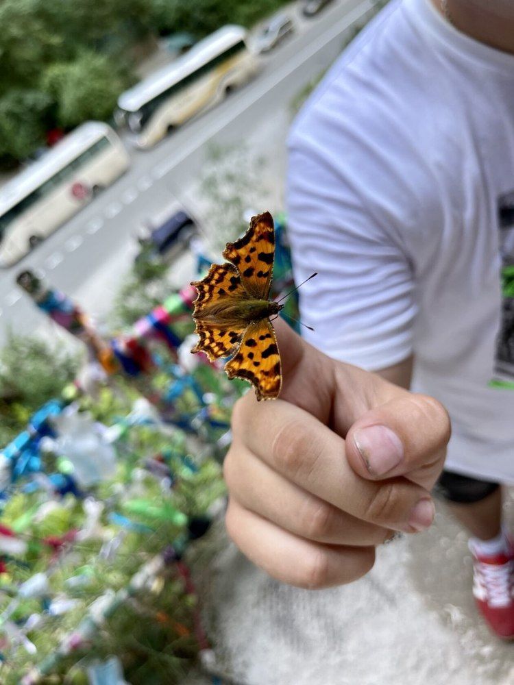 Photograph by Александр Михайлович